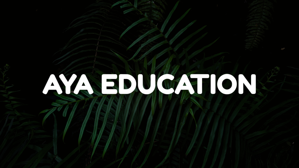 AYA education