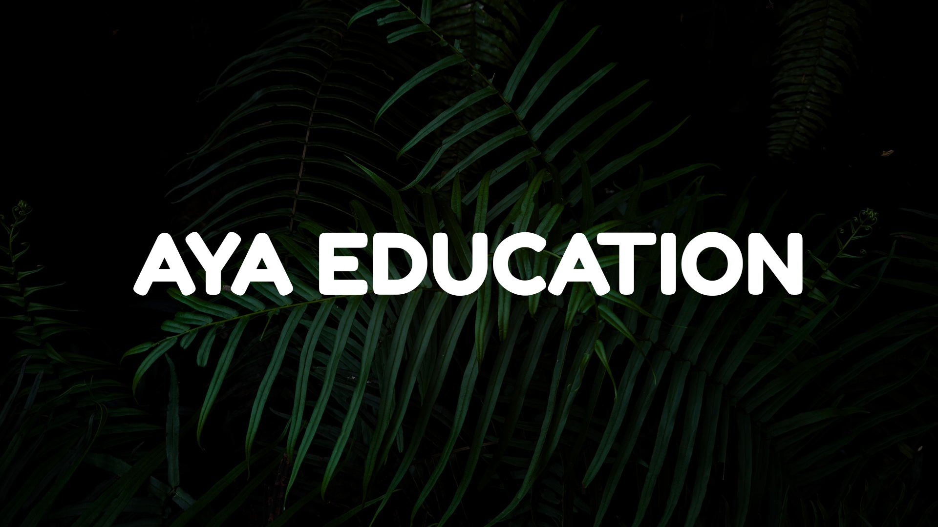 AYA education
