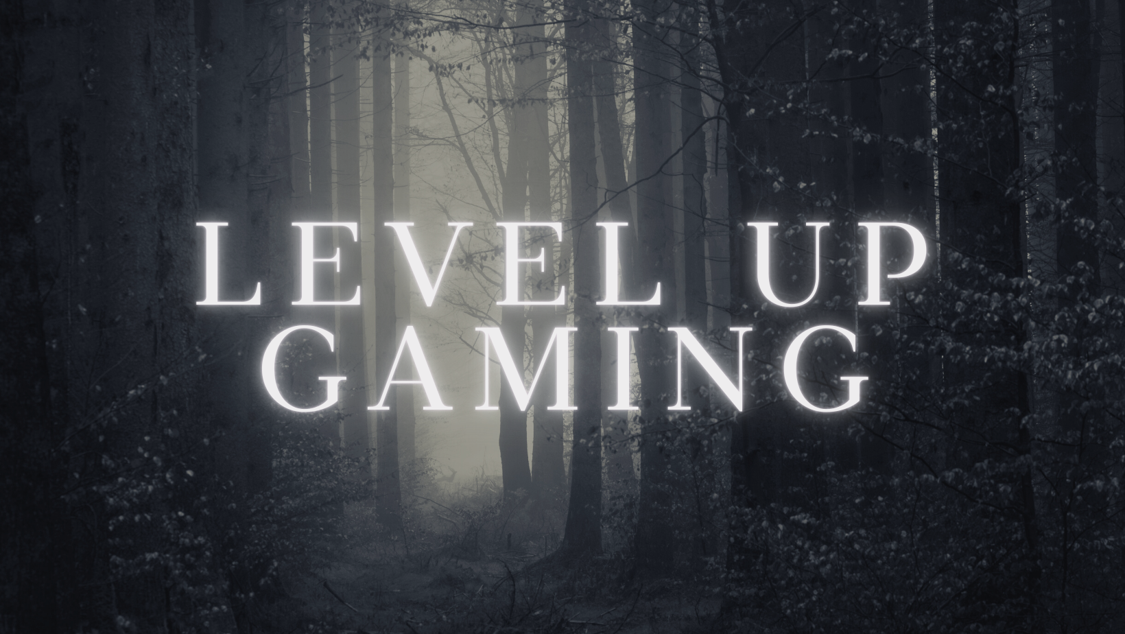 level up gaming