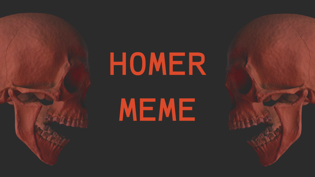 homer meme