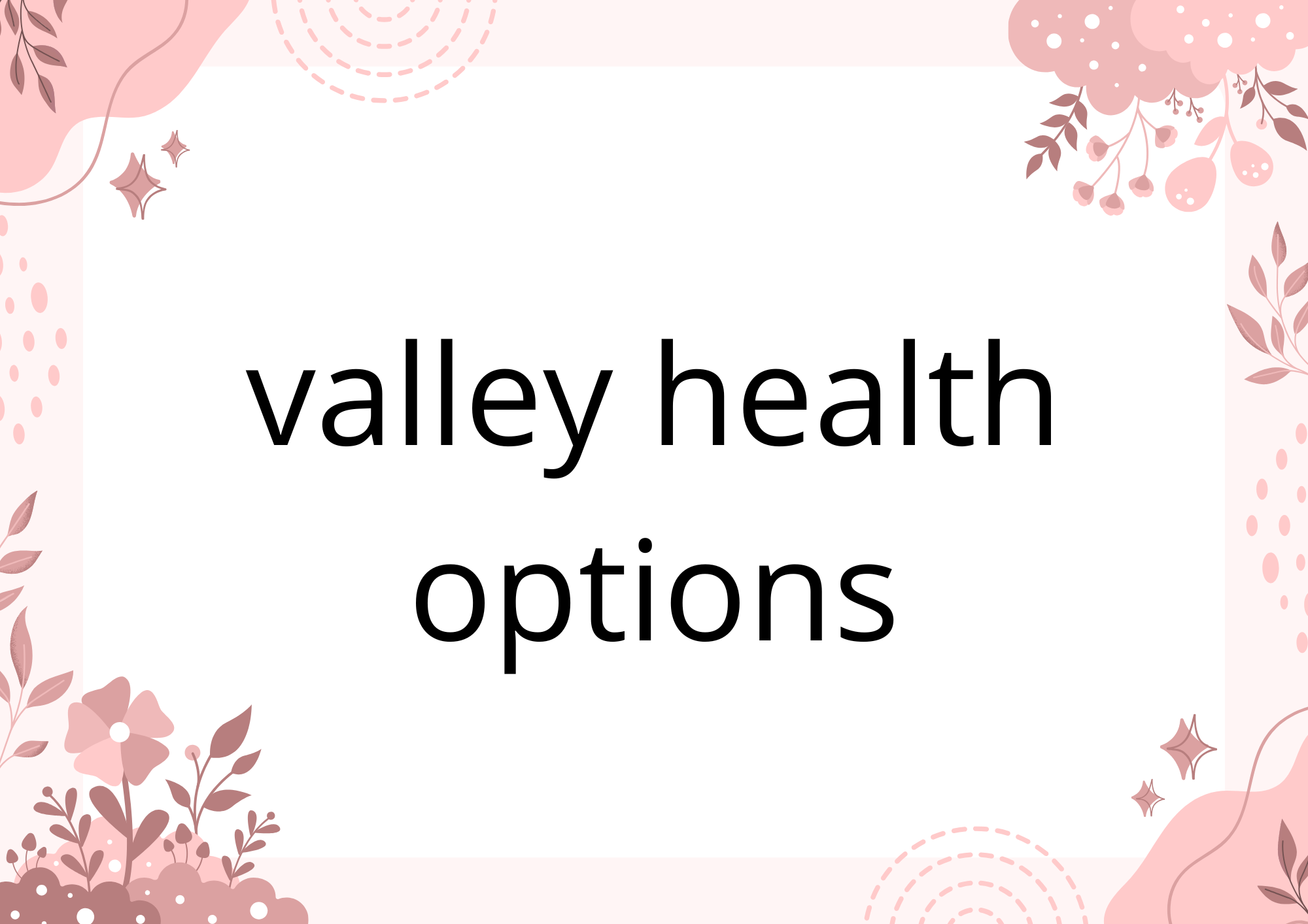 valley health options