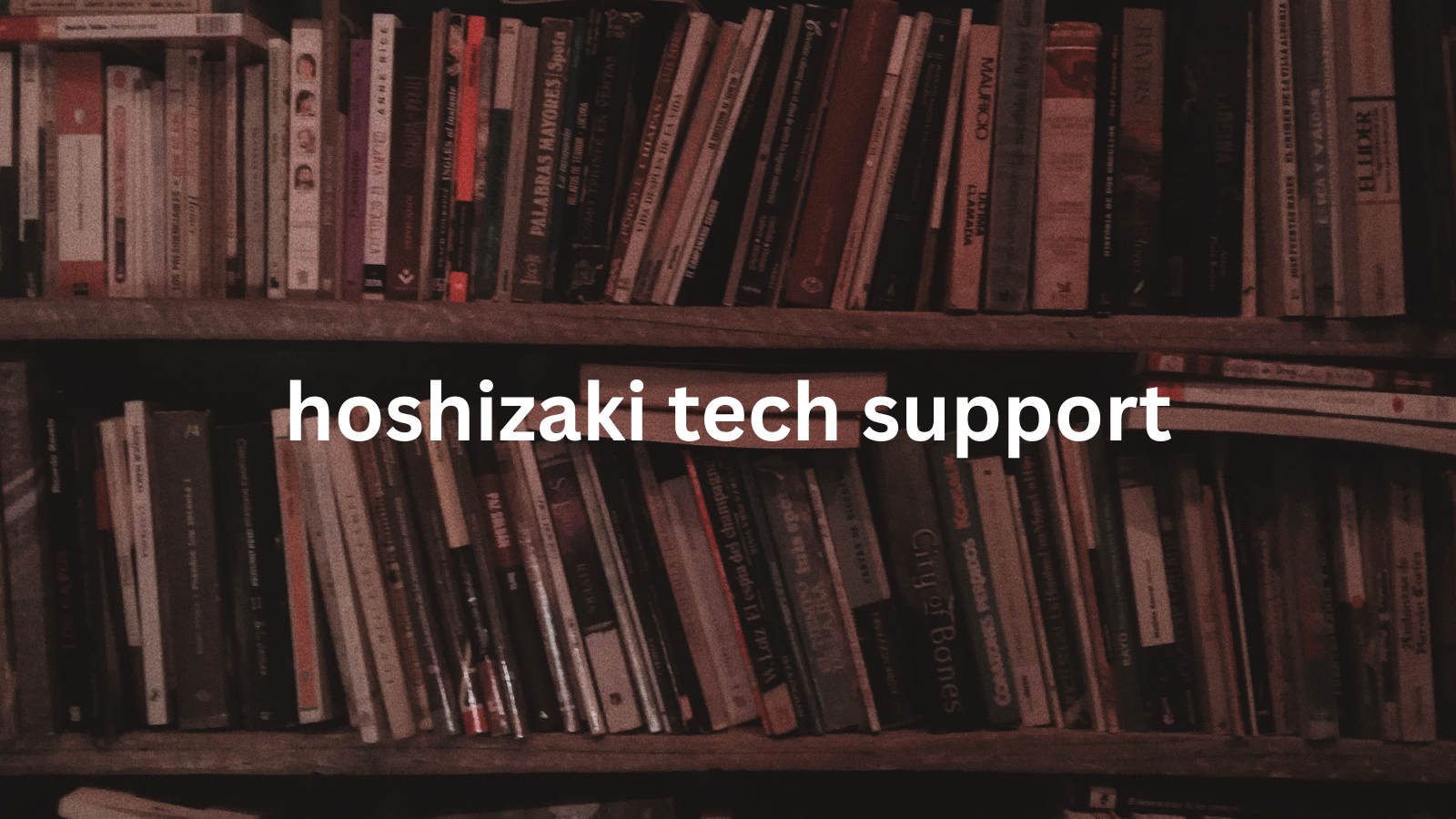 hoshizaki tech support